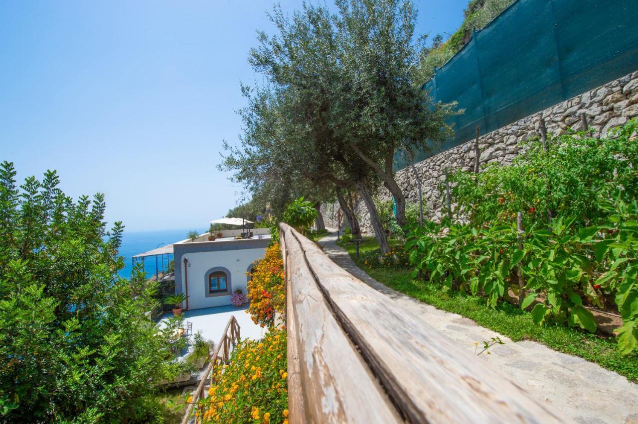 Le Contrade By Sosore Homes -amalfi Coast * Furore
